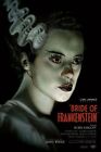 1935 The Bride Of Frankenstein Movie Poster 11x17 Boris Karloff Colin Clive        