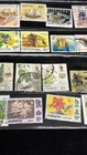 Singapore   Malaysia Postage Stamp Collection Display Case World Stamp Lot