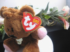 Ty Beanie Baby Pooky  garfield  Teddy Bear Plush Toy 5  Nwt