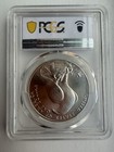 1984-d Olympics Coliseum Commemorative Silver Dollar 90  Pcgs Ms69