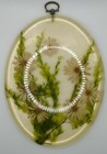 Lucite Real  Daisy Window Hanger Mid Century Natural Farm House Decoration