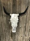 Bull Cow Steer Skull Hanger    the Eurohanger   