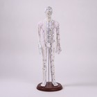 Human Point Stimulation Model 52 Cm Point Stimulation Model Soft Pvc