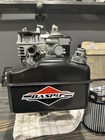 Briggs   Stratton Raptor Engine Flathead