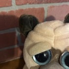 Feisty Pets Manny Macho Stuffed Dog Plush Animal 8 5    Pug Toy               s4 