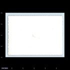 Old Vintage Photo Man Woman Couple Candid Portrait 1955