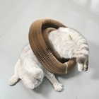 No Crumbs Kitty Kurlz Cat Toy Wear-resistant Cat Scratching Board A us 2025