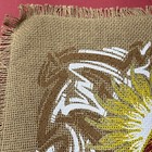 Widespread Panic Fox Theatre Luchessi Print Hemp Sack Poster