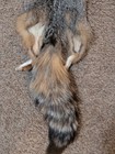Just Tanned Grey Fox Pelt nice Fur No 2 Pelt  Cabin Craft soft Hide plush