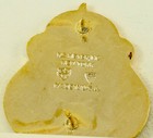 Us Army Health Services Command Crest Di dui Cb