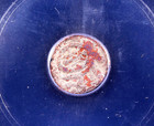 India Silver Jital Icg Genuine Medieval Kingdom Coin Ancient    