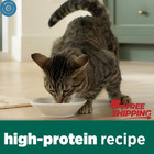 Purina Cat Chow Dry Cat Food Naturals Indoor Complete Multiple Sizes Packs