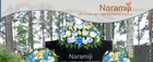 Cemetery Flowers With Grave Vase And Headstone Flower  Of Blue
