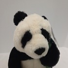 Fao Schwarz Panda Bear Toy Plush Planet Love 11 Inch Save The Earth Soft Cute