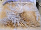 Natural Sheepskin Chairpad Seat 100  Real New Zealand Wool Fur Taupe Beige 15 5 