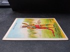 1910 Hassan Cigarette Card - Indian Life In The 60 s - Dude Of The Village