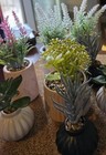 8pcs Artificial Succulents Plants Indoor Decor In Pots Fake Faux 4in - 6in