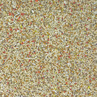 2 Pack Of Sunburst Gourmet Blend Parakeet Food  2 Pounds Each  With Protein Egg 