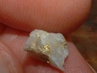 Gold Quartz Specimen  45 Gram Blue Mtns Oregon Gold