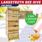 Natural 5 Boxes Beehive Frames Bee Hive Frame 2 Deep 3 Medium Kit