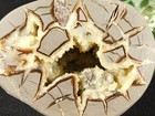 Polished Crystal Filled Hollow Septarian Nodule Geode  From Utah 522gr