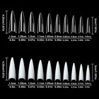 Febsnow 1000pcs Long Stiletto Nail Tips  Acrylic Flake Nails With