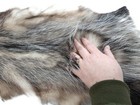 Opossum  Open Tanned-very Well Furred