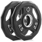 Set Of 2 Rubber Coated Olympic Grip Weight Plates - 2-in Olympic Plates Black