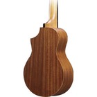 Ibanez Uewt5 Tenor Ukulele Acoustic Guitar - Open Pore Natural Sku 2077346