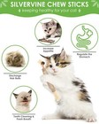 Silvervine Sticks  10 Pack Natural Catnip Chew Toys For Kittens Teeth Cleanin   