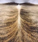 High End Brazilian Xlarge Exotic Brindle Natural Cowhide Rug skin  Cl-239