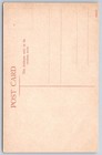 Antique South Africa Postcard Albert Falls Natal Waterfall 1900s