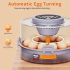12 Egg Incubators For Hatching Eggs  Automatic Egg Turning   Humidity Control 