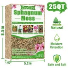 Zeedix 1 1lb Sphagnum Moss For Indoor Plants  Orchids  Terrariums 25 Quarts
