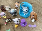 Lps Lot Of 36 Littlest Pet Shop   Accessories  Whale Husky Carrier Mouse Monkey