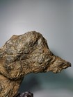  10046 old Natural Chinese Suiseki Bonsai Lingbi Stone--chinese Art Stone