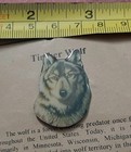 Timber Wolf Predator Animal Hat Jacket Lapel Pin W  Info Card Alaska Minnesota