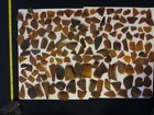 Authentic Seaglass  156 Pieces Frosty Brown amber Beach Sea Glass  surf-tumbled 