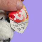 Ty Rowdy Dalmatian Beanie Babies 2 0 Sparkle Eyes Plush Dog Toy