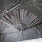 Authentic Evanescence Sanctuary Concert Tour 2026 Souvenir Large Folding Fan New