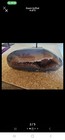 Large Polished Agate Geode Freeform Druzy Quartz Crystal Display Specimen