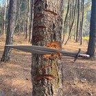 Hand Forged High Carbon Steel Viking Sword Battle Ready Medieval Sword sheath