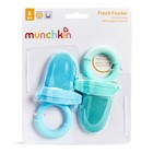 Munchkin Baby Feeder For Fresh Food And Fruit  2 Pack  Blue mint