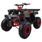 X-pro Cougar 200cc Utility Atv Quad W  Auto Transmission   Reverse Led Headlight