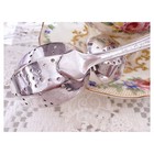 Simeon L    George H  Rogers Vintage Silver Plate 1929 Princess Tea Ball Spoon