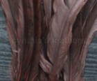 25 Pcs 16-18  Long Chocolate Brown Dyed Rooster Coque Tail Feathers For Crafting