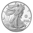 2025-s Proof  1 American Silver Eagle Navy Privy Box  Ogp    Coa 250th