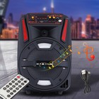 1000w Portable Wireless Bluetooth Speaker Super Bass Stereo Radio Fm Tf Aux Usb