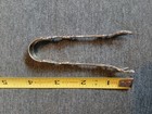 Antique Sterling Silver Sugar Tongs