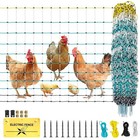 Electric Poultry Netting Chicken Fence Ducks Turkeys Sheep Geese Fence In Yard